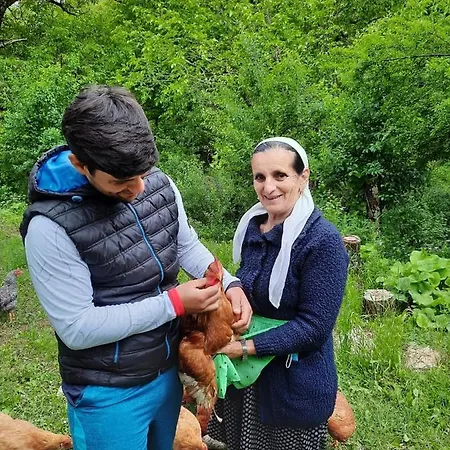 Πανδοχείο Kulla Hupi Agriturism *