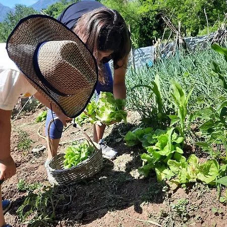 Kro Kulla Hupi Agriturism *