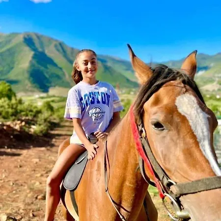 Kulla Hupi Agriturism Πανδοχείο