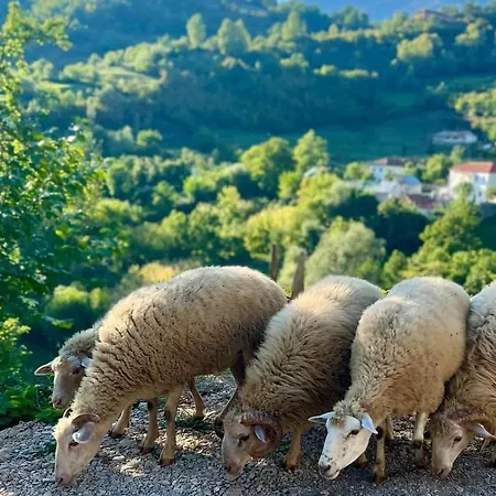 Kulla Hupi Agriturism Kro *