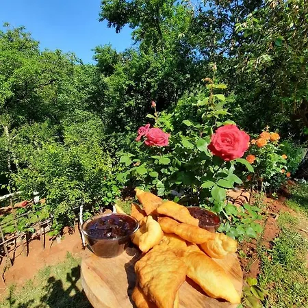 Kulla Hupi Agriturism- 250 Year Old Albanian Heritage Tower * Fushe-Bulqize