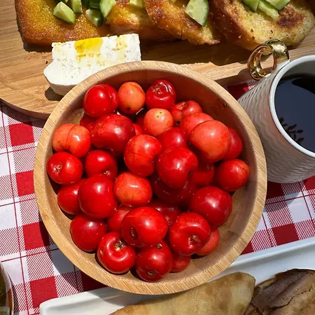 אורחן Kulla Hupi Agriturism Fushe-Bulqize