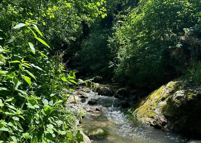 Kulla Hupi Agriturism *
